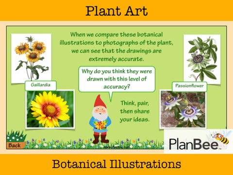 Plant Art | One-Off Art Lessons KS2