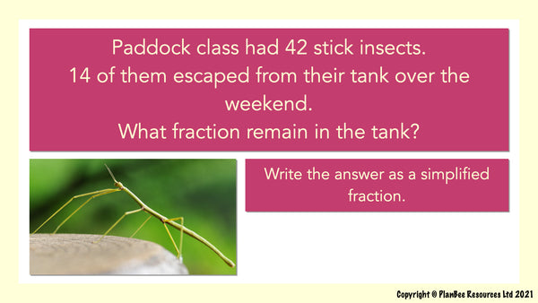 Question 1: Fractions