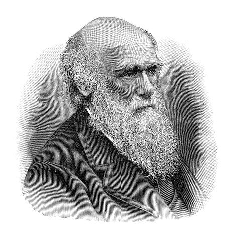 Charles Darwin – Survival of the Fittest