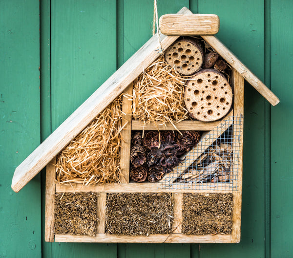 Eco School Ideas - Bug Hotels