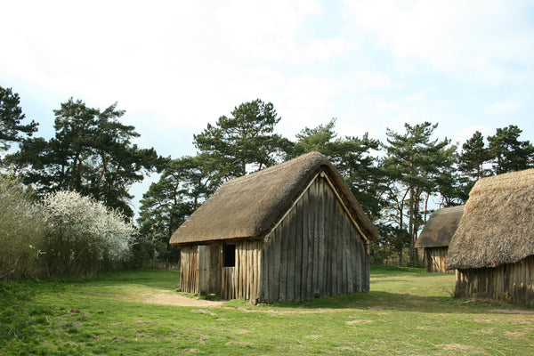 An Anglo-Saxon house