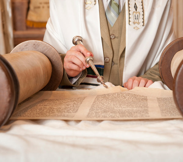 Reading the Torah