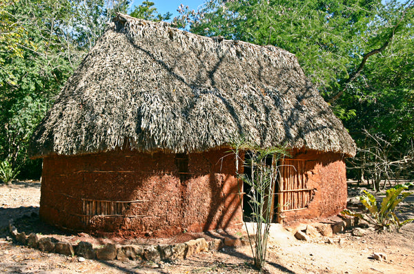 Maya Facts for KS2 - Mayan Homes