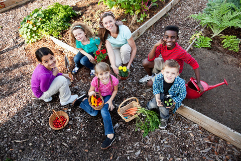 Grow food with the children