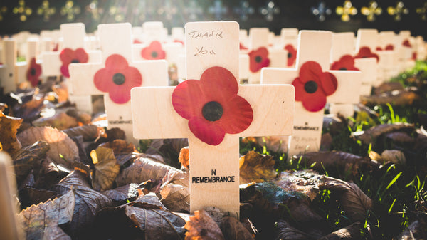 Field of Remembrance Day Crosses and Poppies