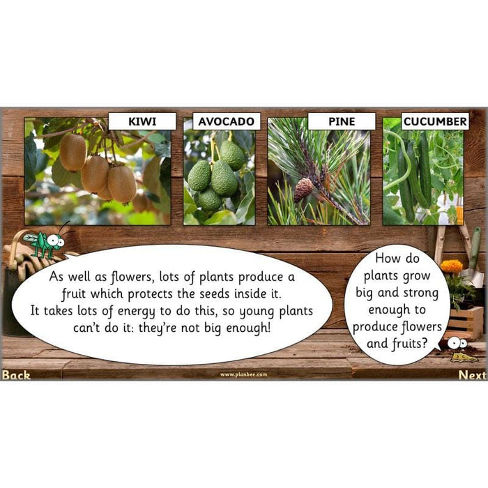 secret-world-of-plants-ks1-science-scheme-of-work-year-2