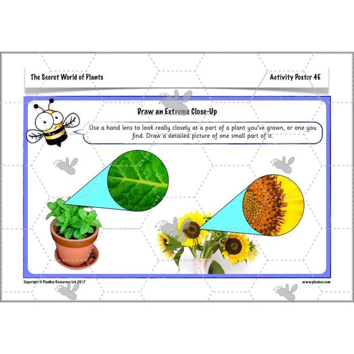 secret-world-of-plants-ks1-science-scheme-of-work-year-2