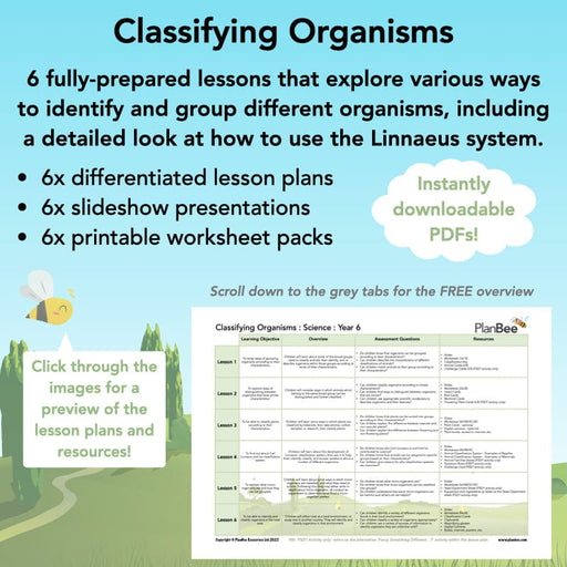 classifying organisms