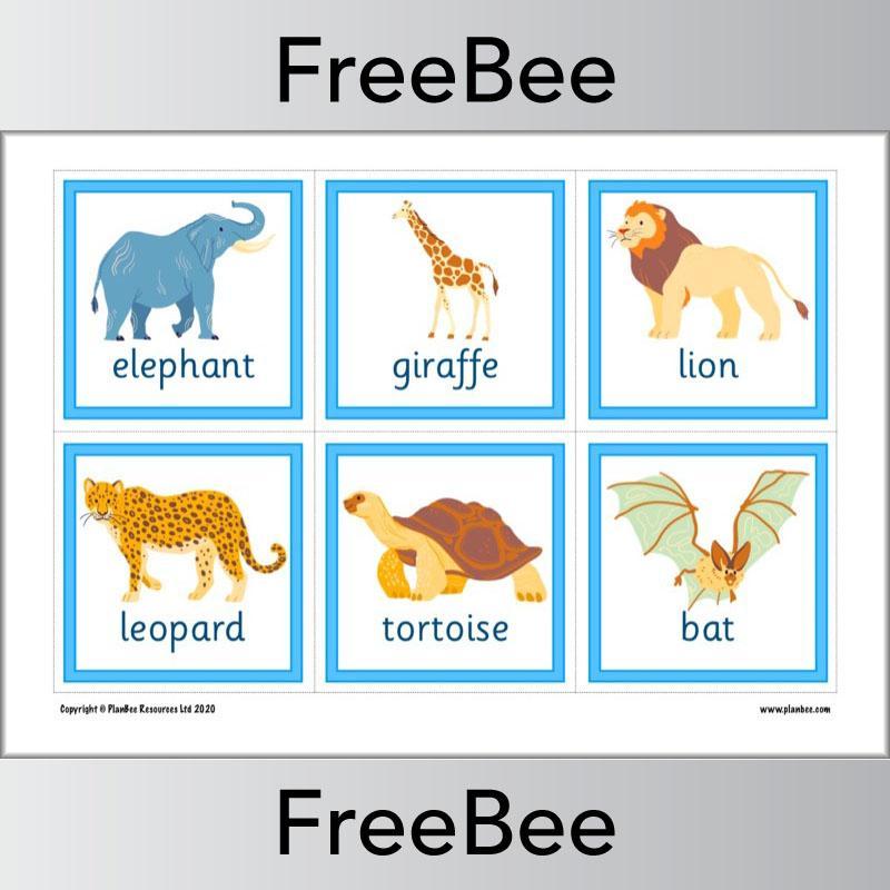 Animal Flashcards