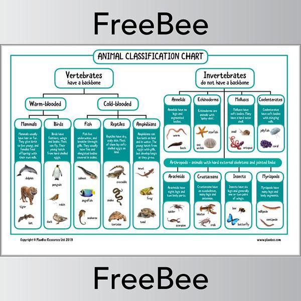free-animal-classification-ks2-chart-by-planbee