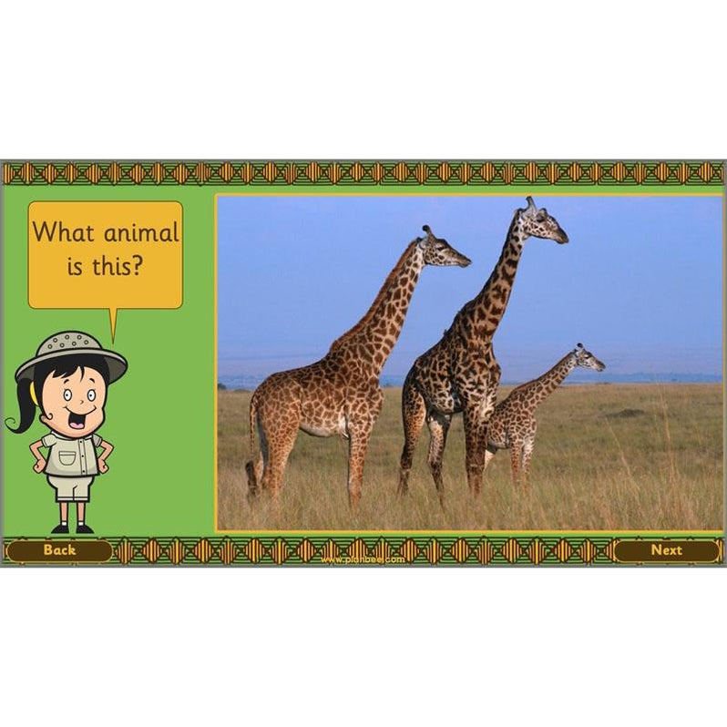 safari video ks1