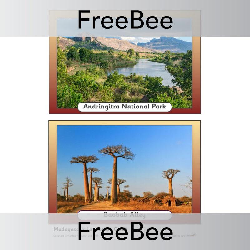 Madagascar Picture Cards