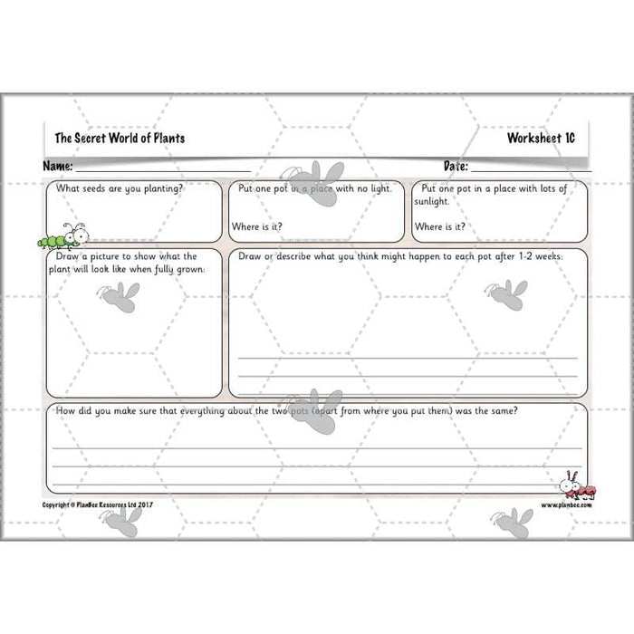 secret-world-of-plants-ks1-science-scheme-of-work-year-2