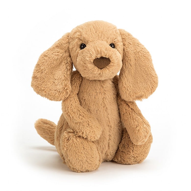 BASHFUL TOFFEE PUPPY