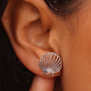Delicate Shell Stud Earring - Molly's! A Chic and Unique Boutique 