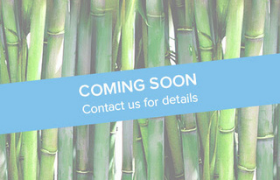 Bamboo stalks "Coming Soon, Contact Us For Details" | Apack Commercial