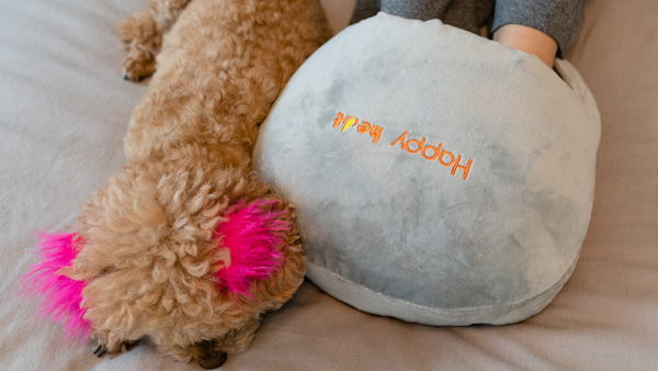 Woman wearing a foot warmer and her dog resting next to it.