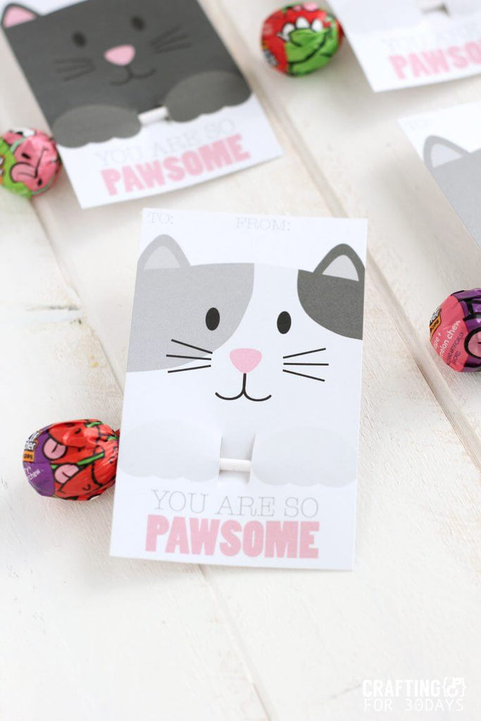 The Cutest and Creative Cat Valentine Cards 2021