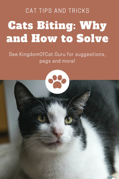 Cats Biting: Why and How to Solve