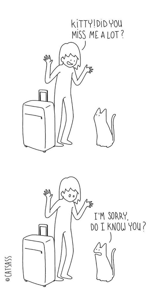 Hilarious Comics That Reveal The Reality Of Living With Cats ...