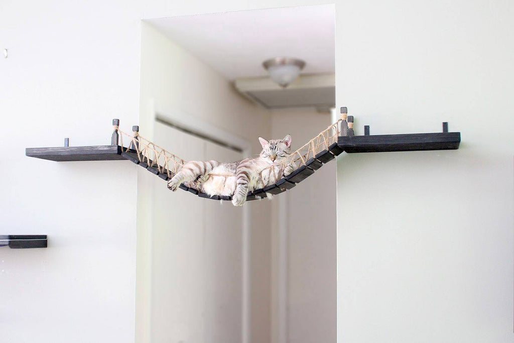 cat Playgrounds