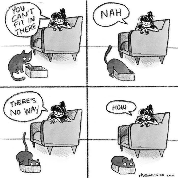 Hilarious Comics That Reveal The Reality Of Living With Cats ...