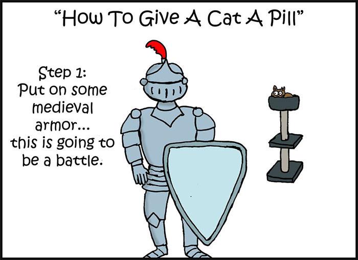 How To Give a Cat a Pill