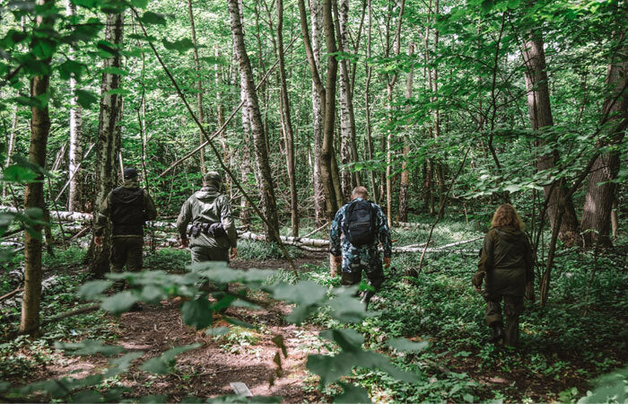 search party walking in woods