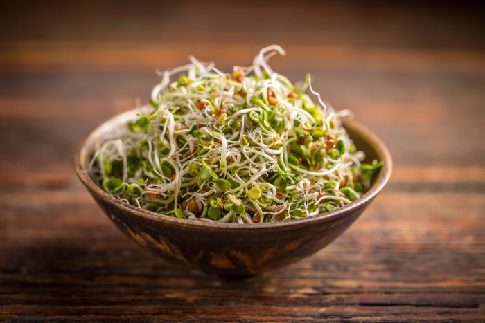 sprouts in a bowl