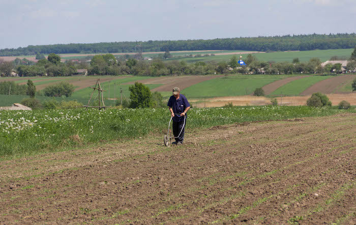 man plowing field with hand plow