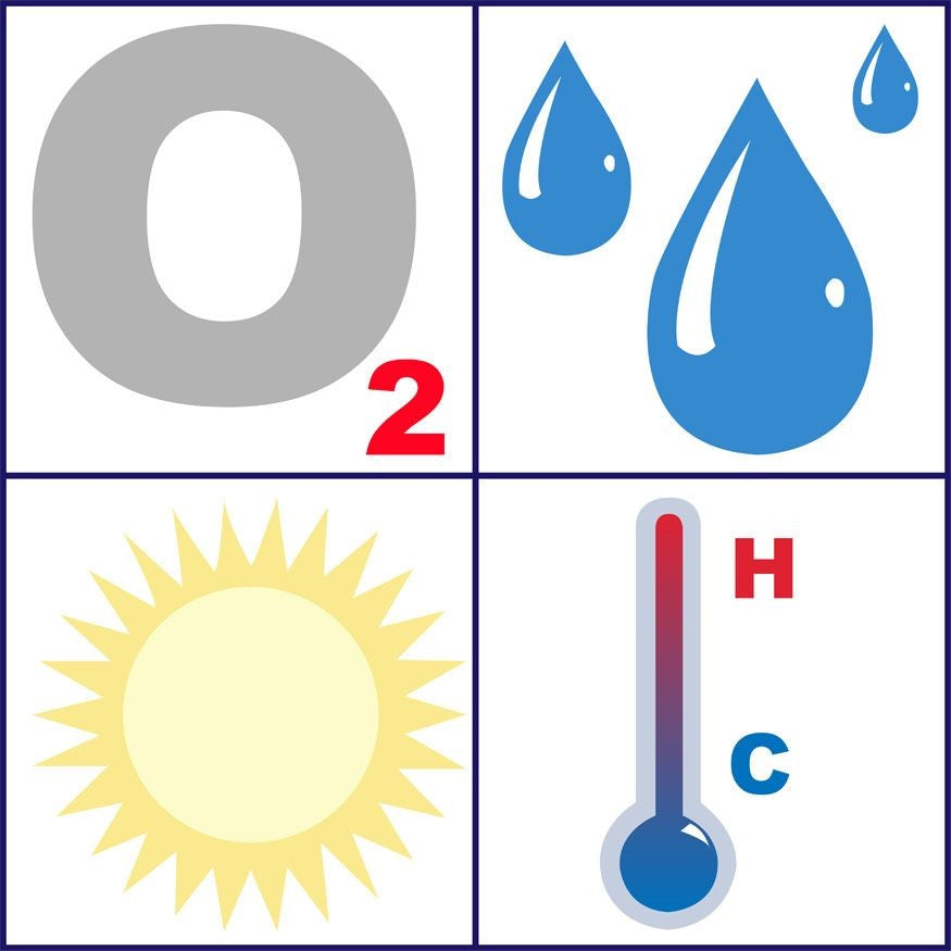 Temperature Sheet