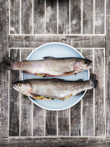 Grilling 101: The Basic of Grilling Fish & Seafood