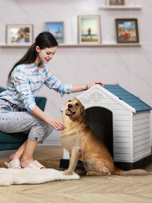 what is the point of a dog house