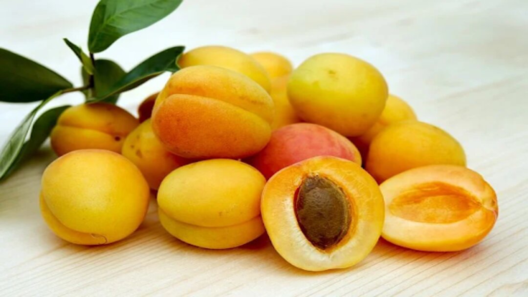 A pile of apricots on a white table	