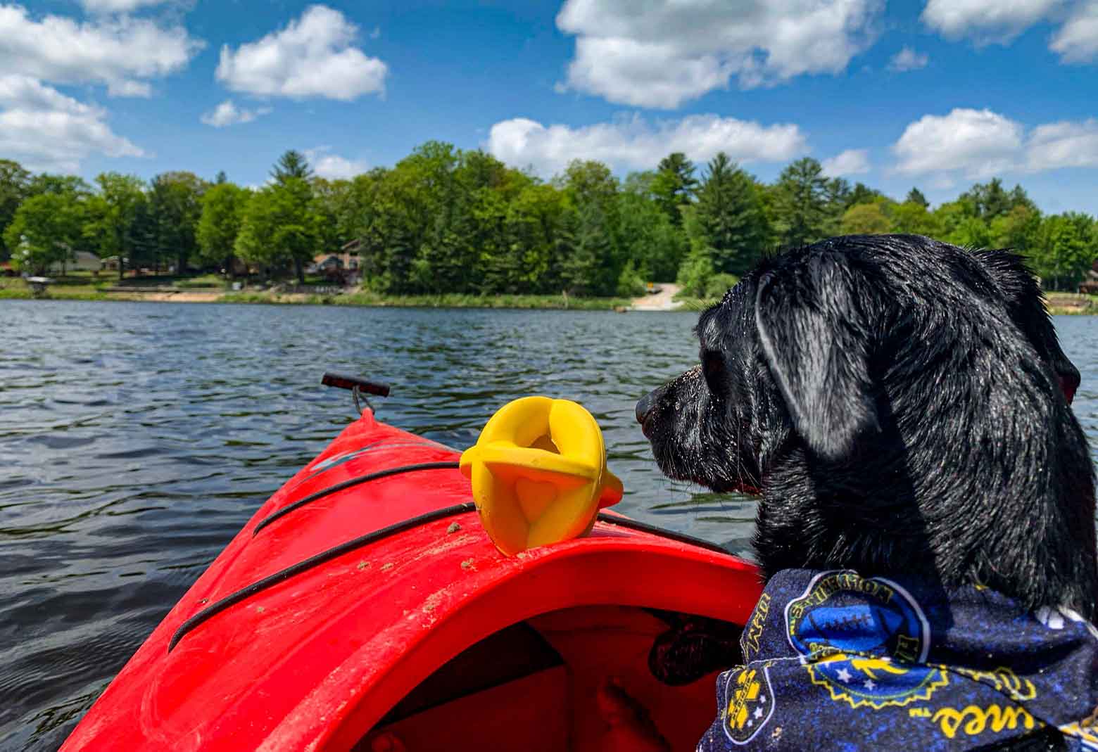 Dog In Kayak With Yellow Bounderz Ball