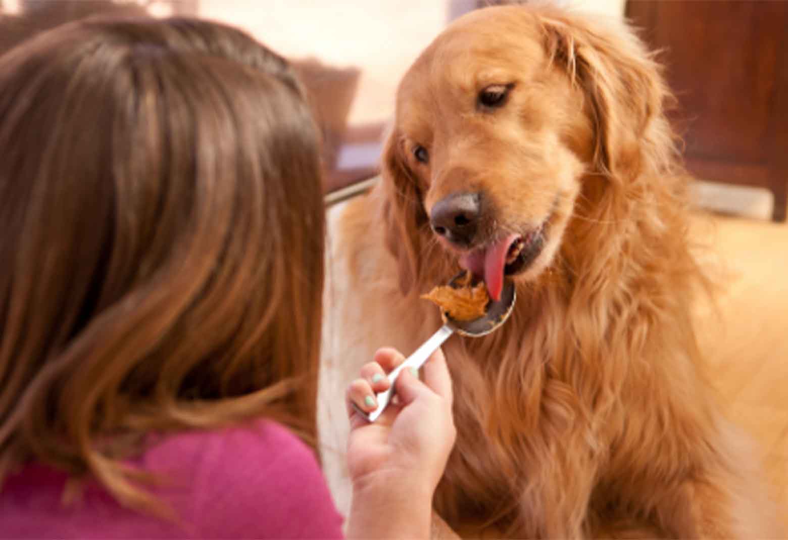Woman Feeding Dog Peanut Butter From Spoon