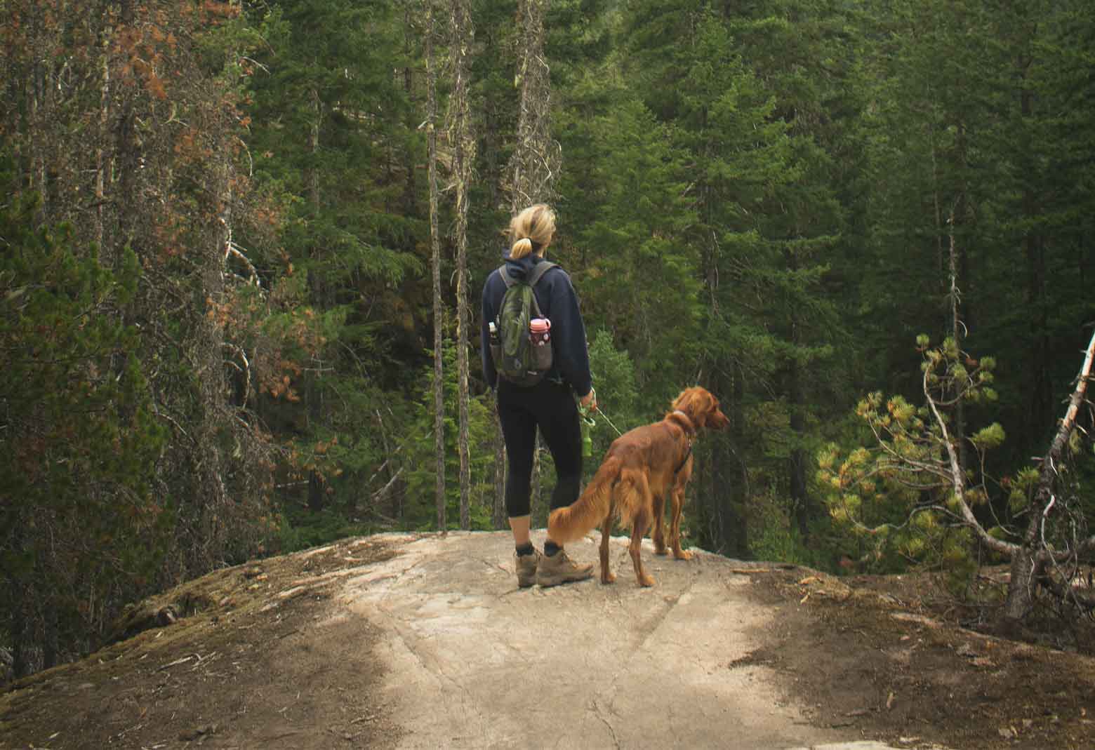 Women And dog Hiking In The Woods Looking Over A Cliff