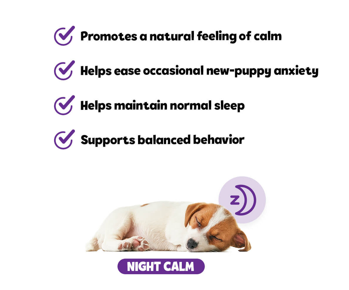 can you get sleeping tablets for dogs