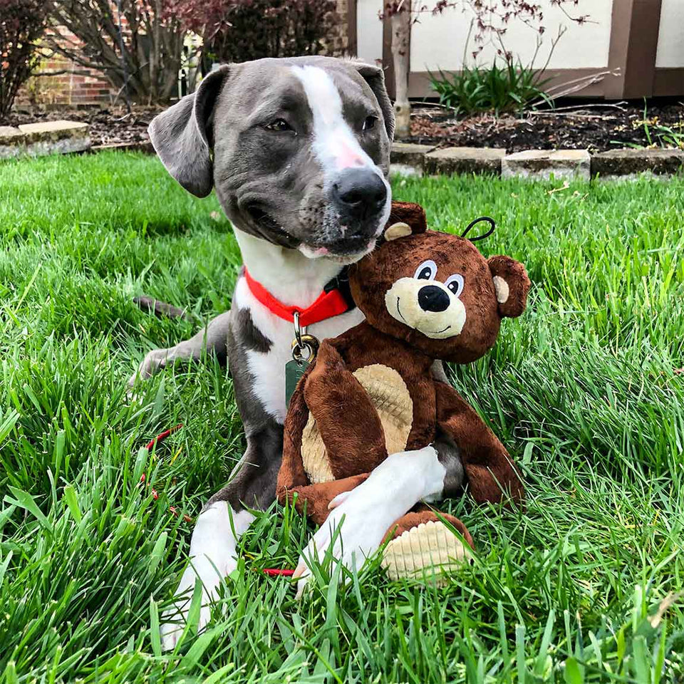 Tender-Tuffs Aussie Kangaroo Large Tough Squeaky Dog Toy – Snuggle Puppy