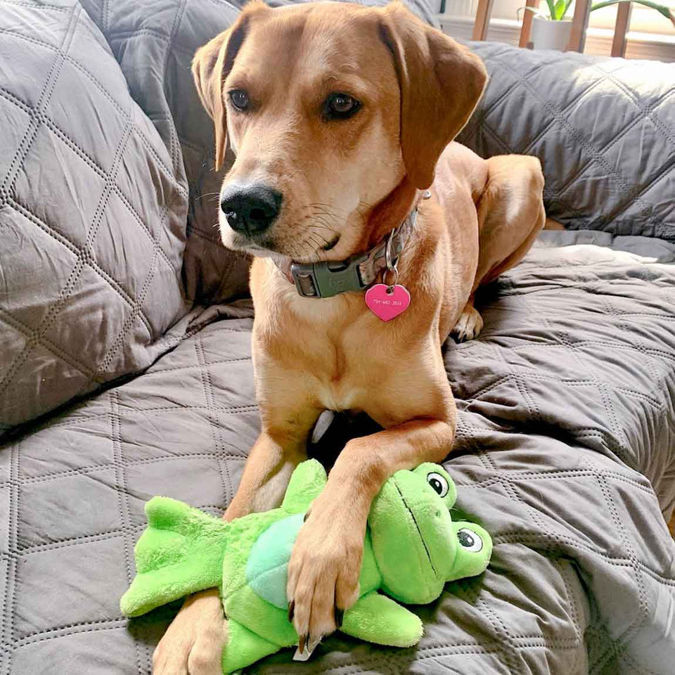 TinyToy Green Frog Plush Dog Toy for Small Dogs