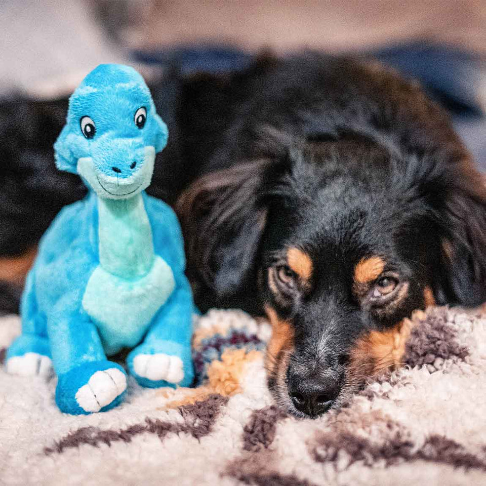 https://cdn.shopify.com/s/files/1/0339/3110/0219/t/17/assets/8e971e810159--Blue-Dino-40145-HIW.jpg?v=1657136359&width=1150&height=960