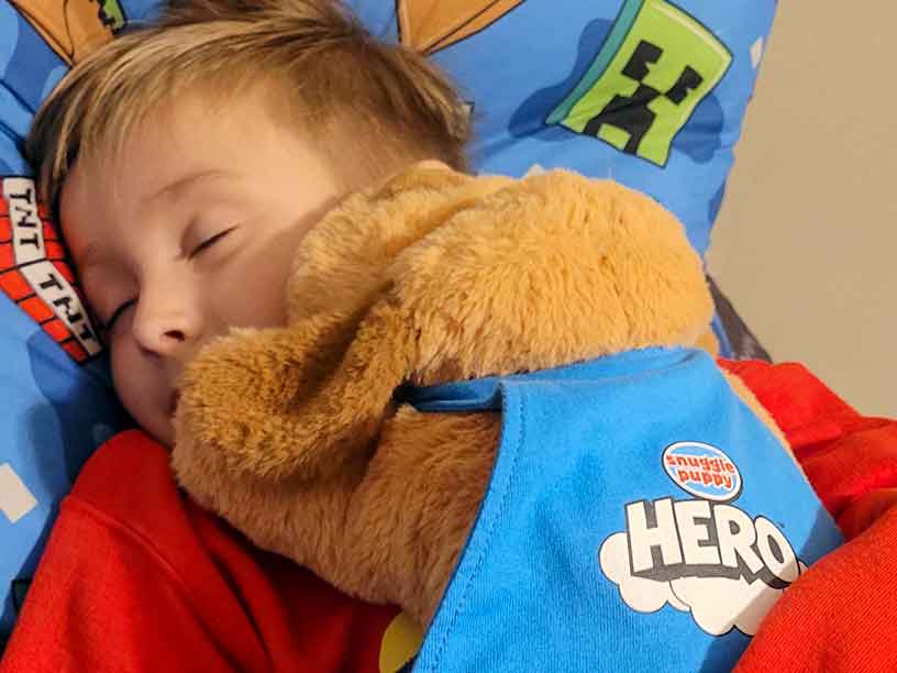 Snuggle Puppy Hero Sensory Plush Calming Toy for Kids