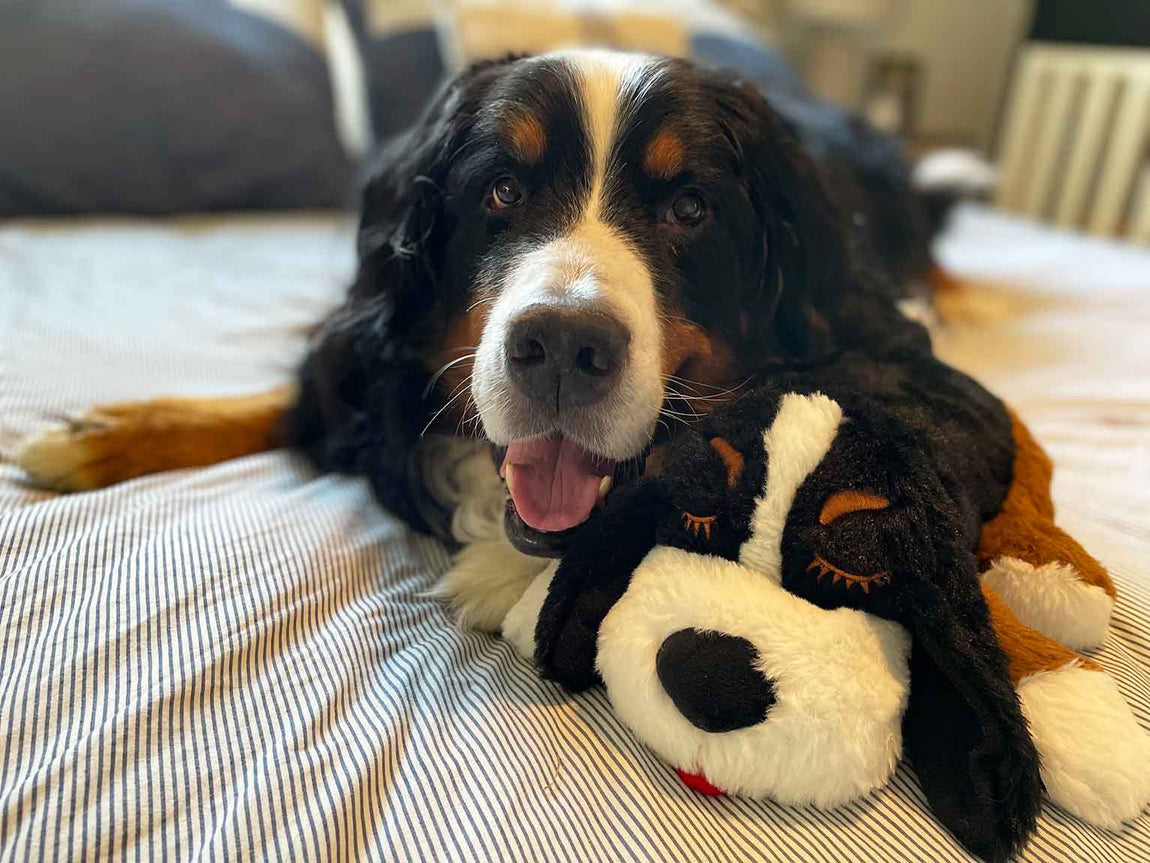 Bernese Mountain Dog Anti-Anxiety Dog Toy, Plush Puppy with Heartbeat and  Heat Pack