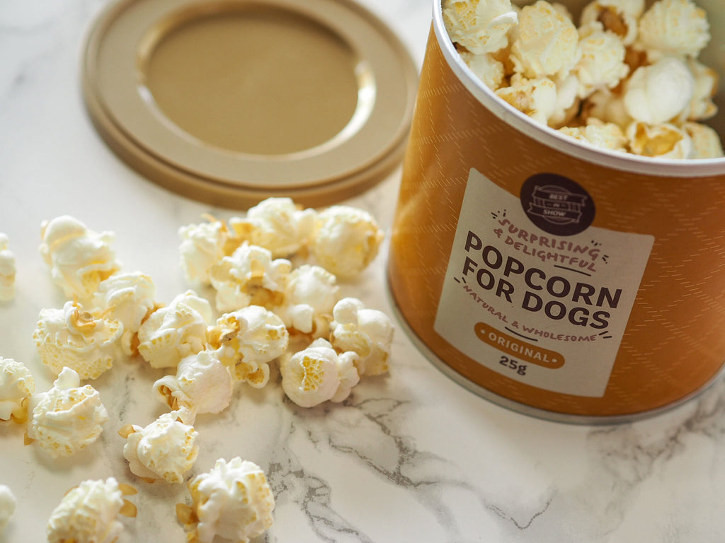 Popcorn For Dogs - Tabletop unpacked on a white marble table