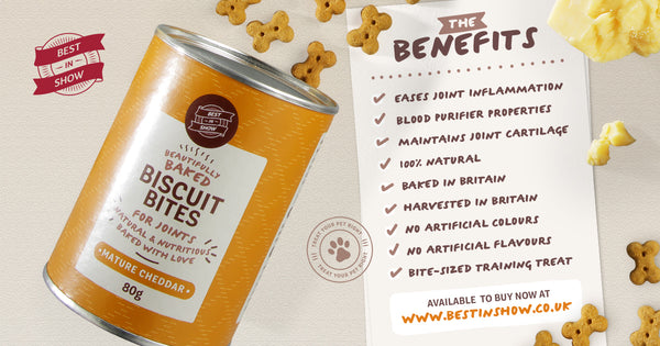 An infographic from Best In Show, indicating the features and benefits of the Mature Cheddar Baked Bites, from their beautifully baked range available at the Best In Show website.
