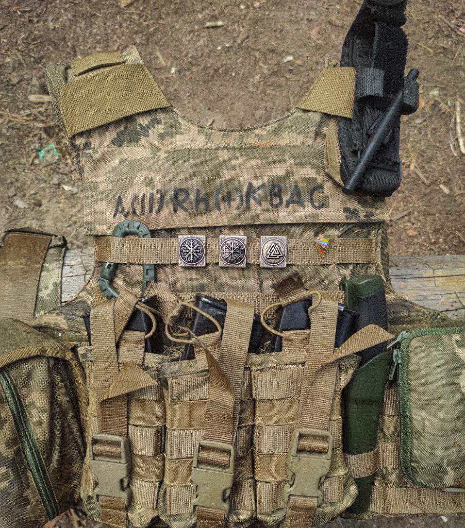 Molle clips on plate carrier