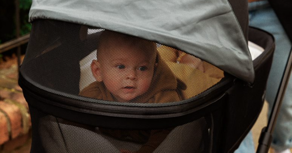 Baby curiously peeks out of pram carry cot through mesh ventilation window