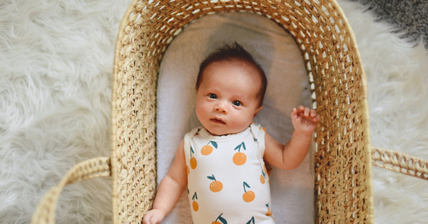 Baby lying in a Moses basket