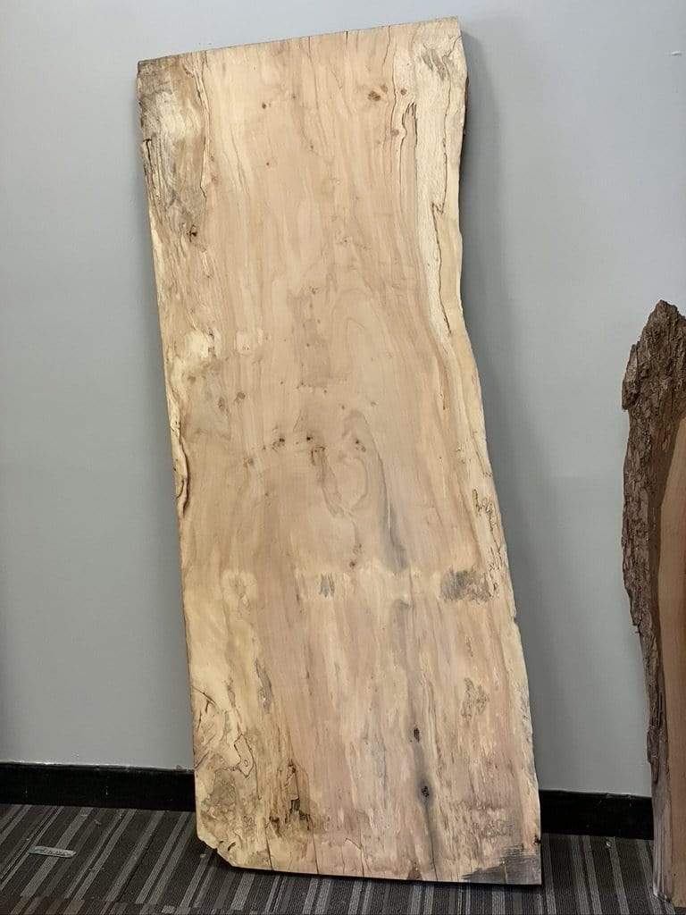 Finished Live Edge Slab - Spalted Maple