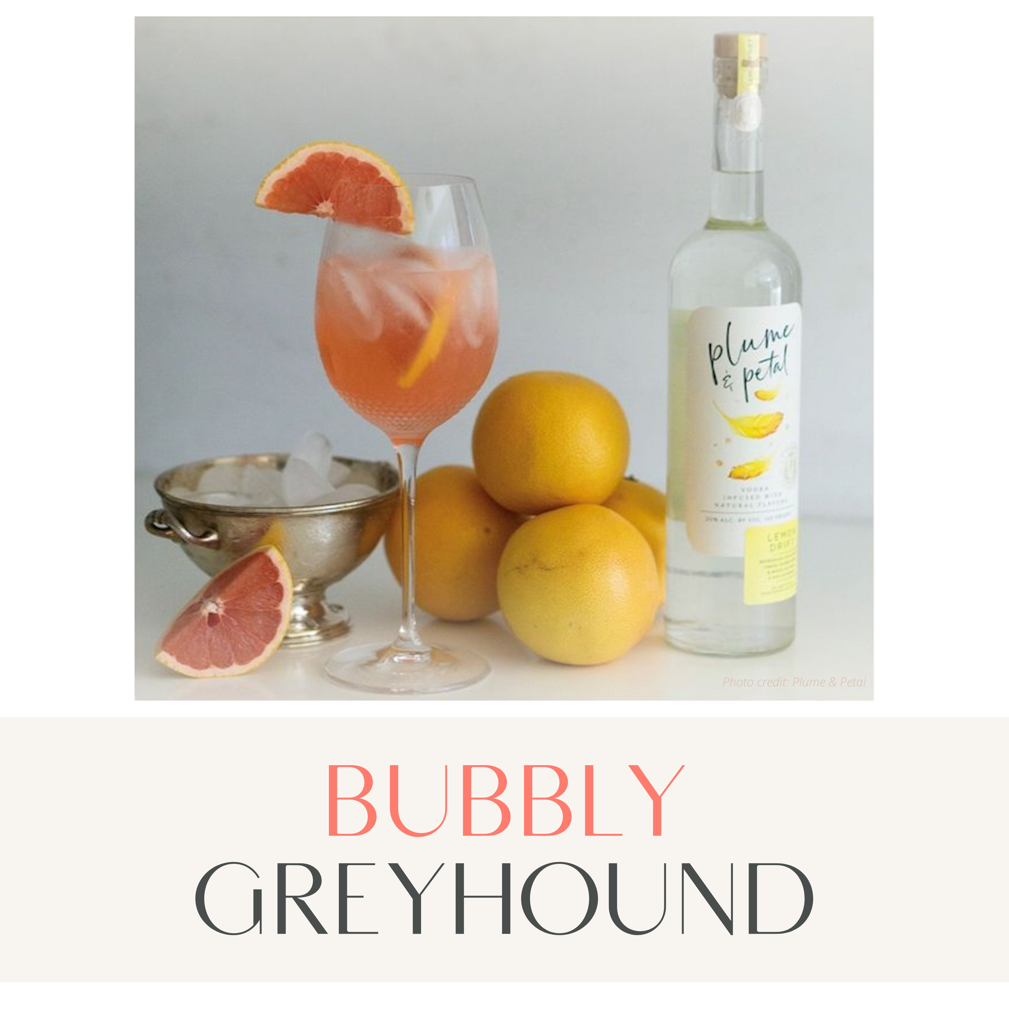 Bubbly Greyhound